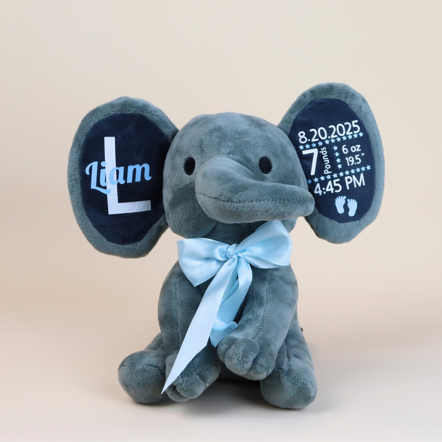 Welcome Home Personalized Gift Set for Baby