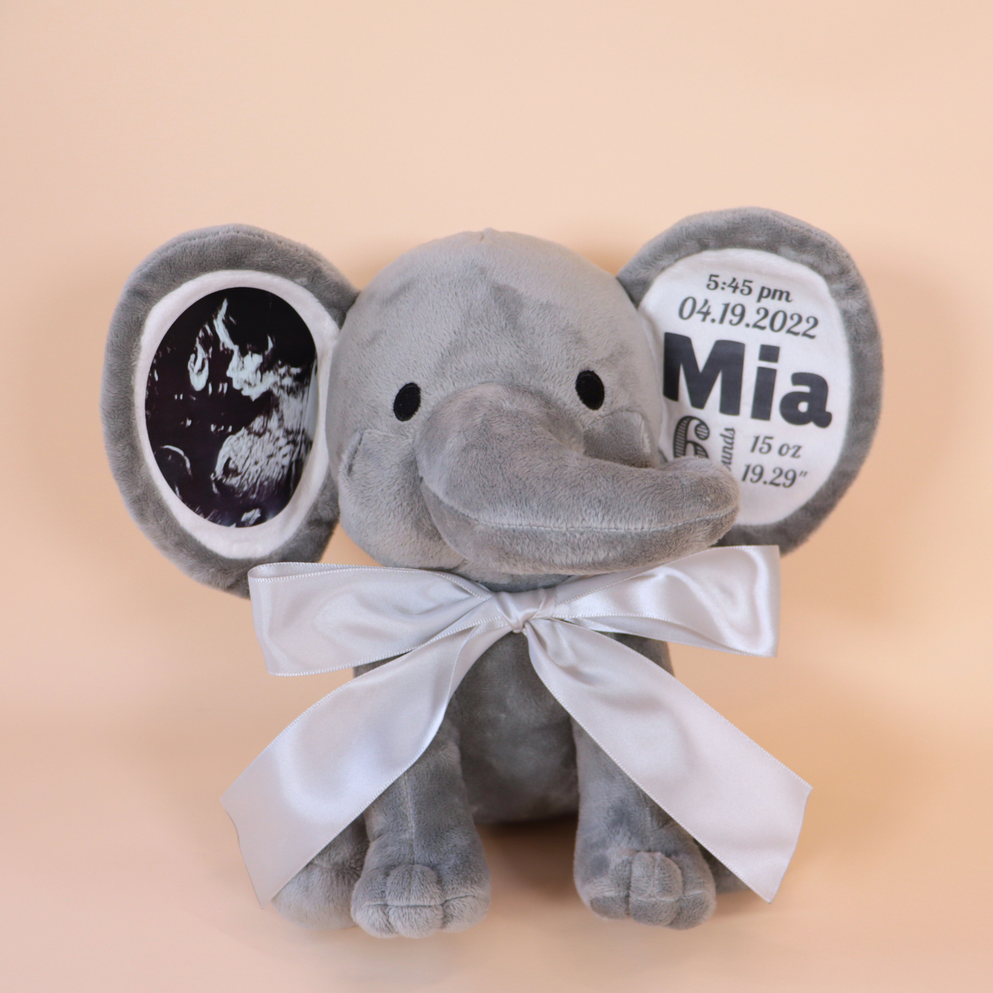 Custom Ultrasound Photo + Birth Stats Elephant Stuffed Animal