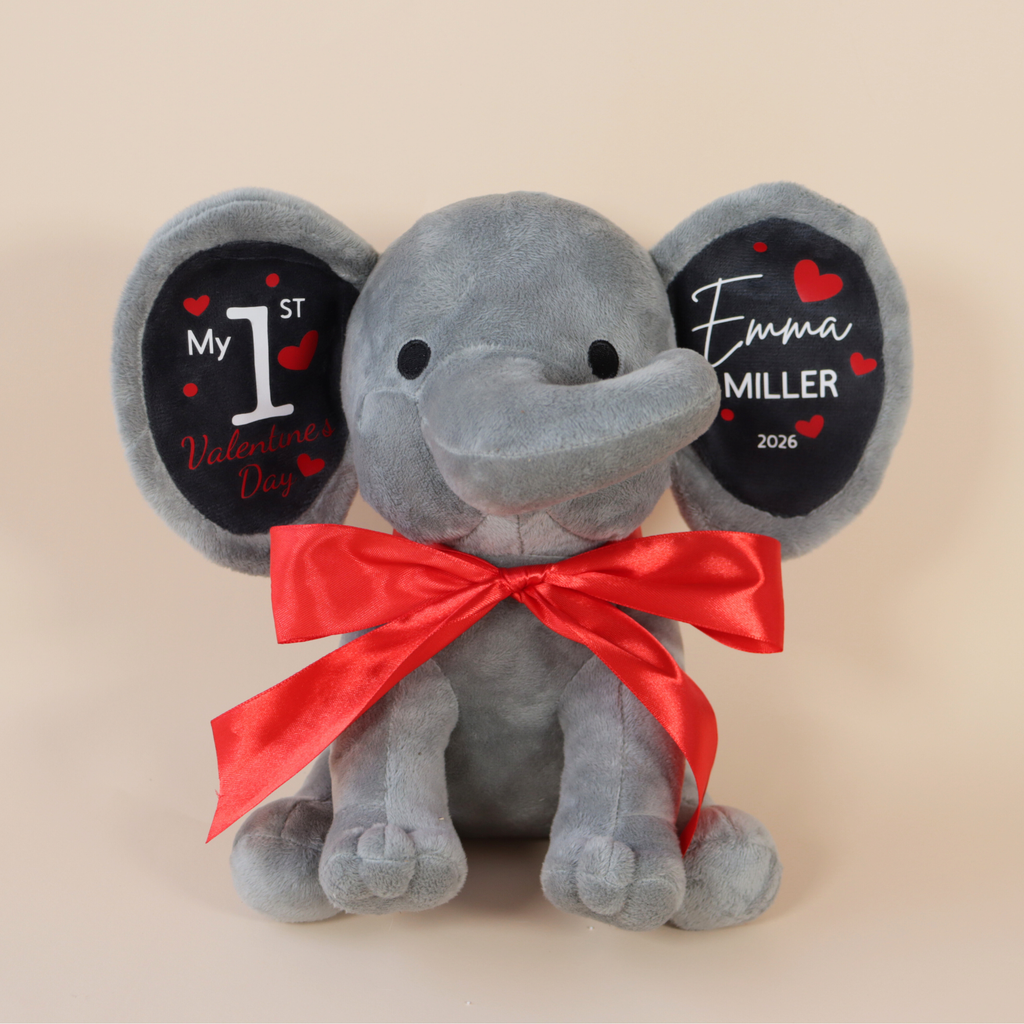 My First Valentine's Day Gift