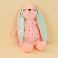 Personalized Bunny Plush Toy