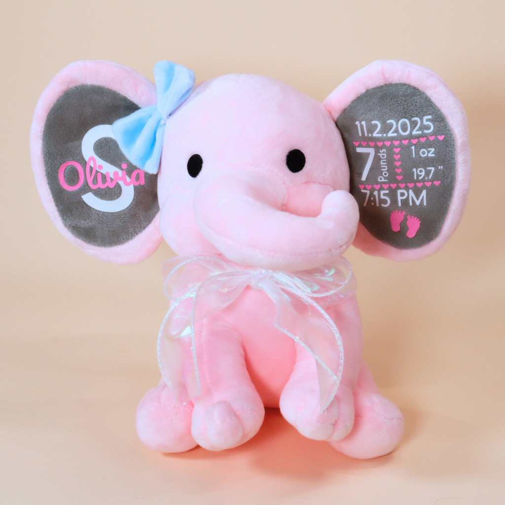 Welcome Home Personalized Gift Set for Baby