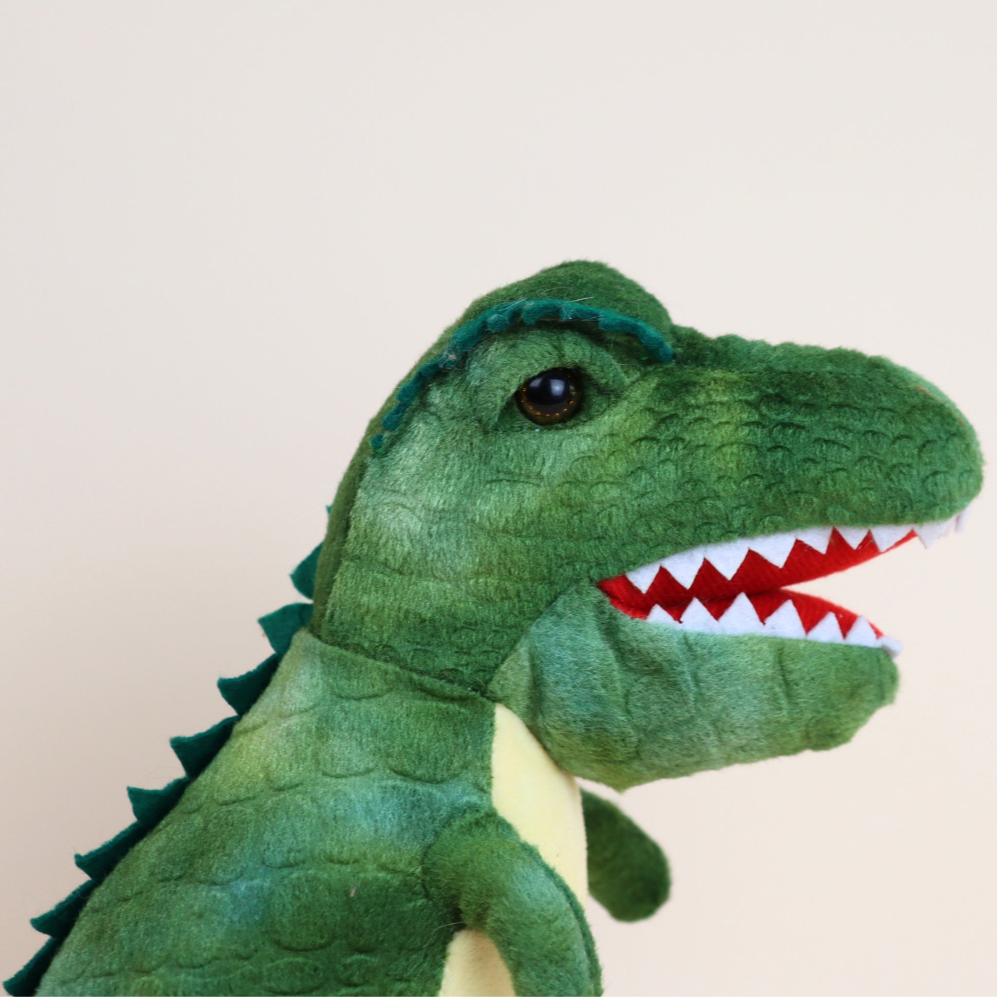 Personalized T-rex Dinosaur Plush
