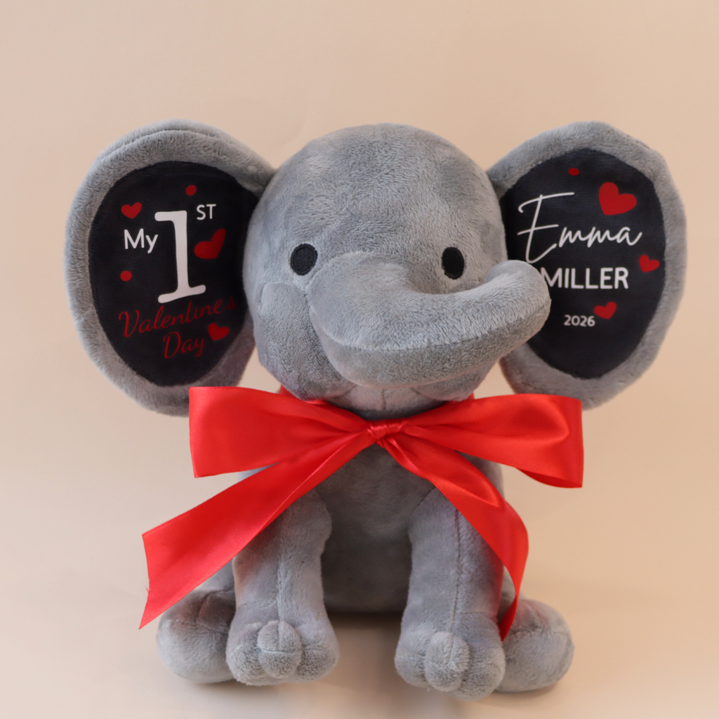My First Valentine's Day Gift