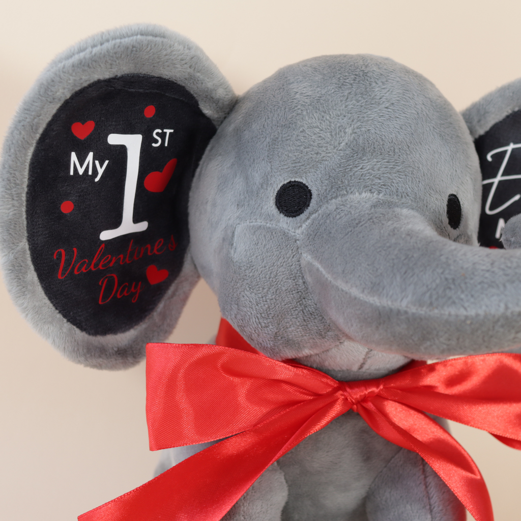 My First Valentine's Day Gift