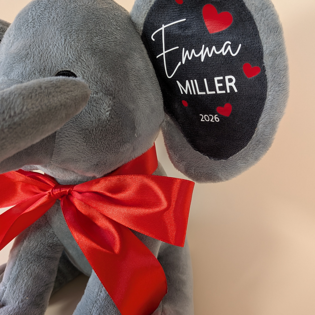 My First Valentine's Day Gift