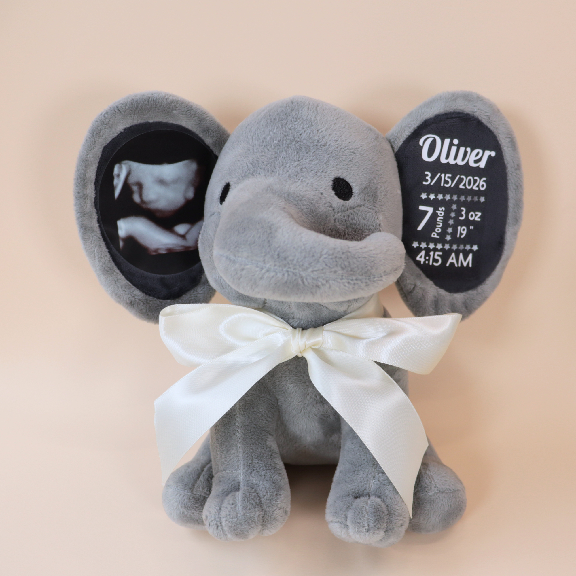 Personalized Photo & Birth Stats Elephant Plush