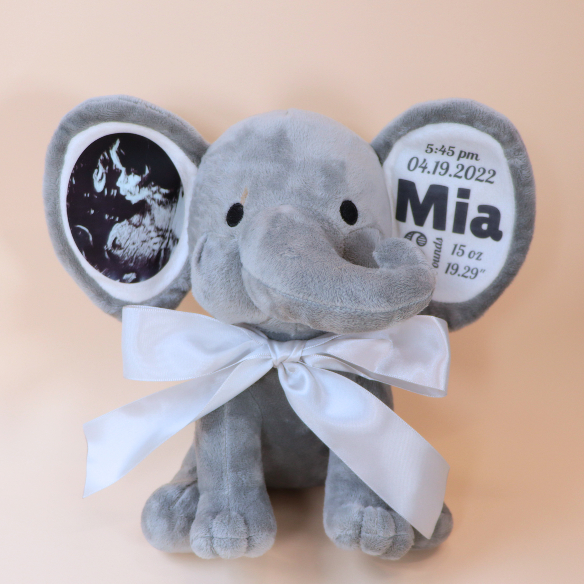 Personalized Photo & Birth Stats Elephant Plush