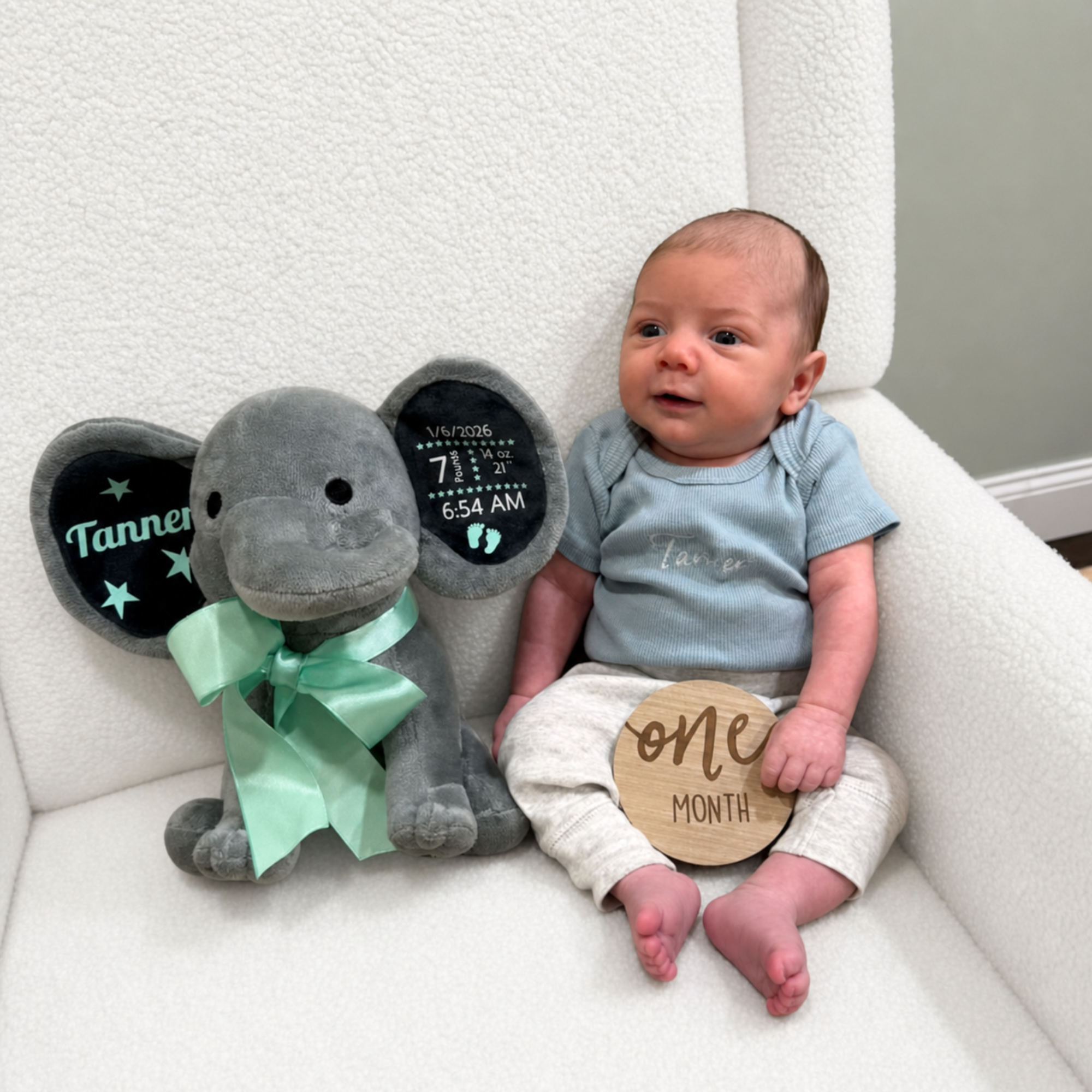 Personalized Birth Stats Elephant