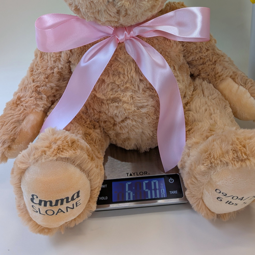 Birth Weight Memory Bear