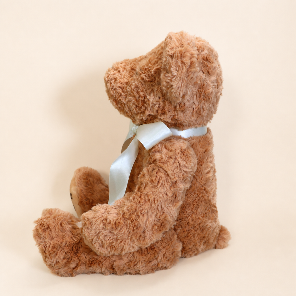 Birth Weight Memory Bear