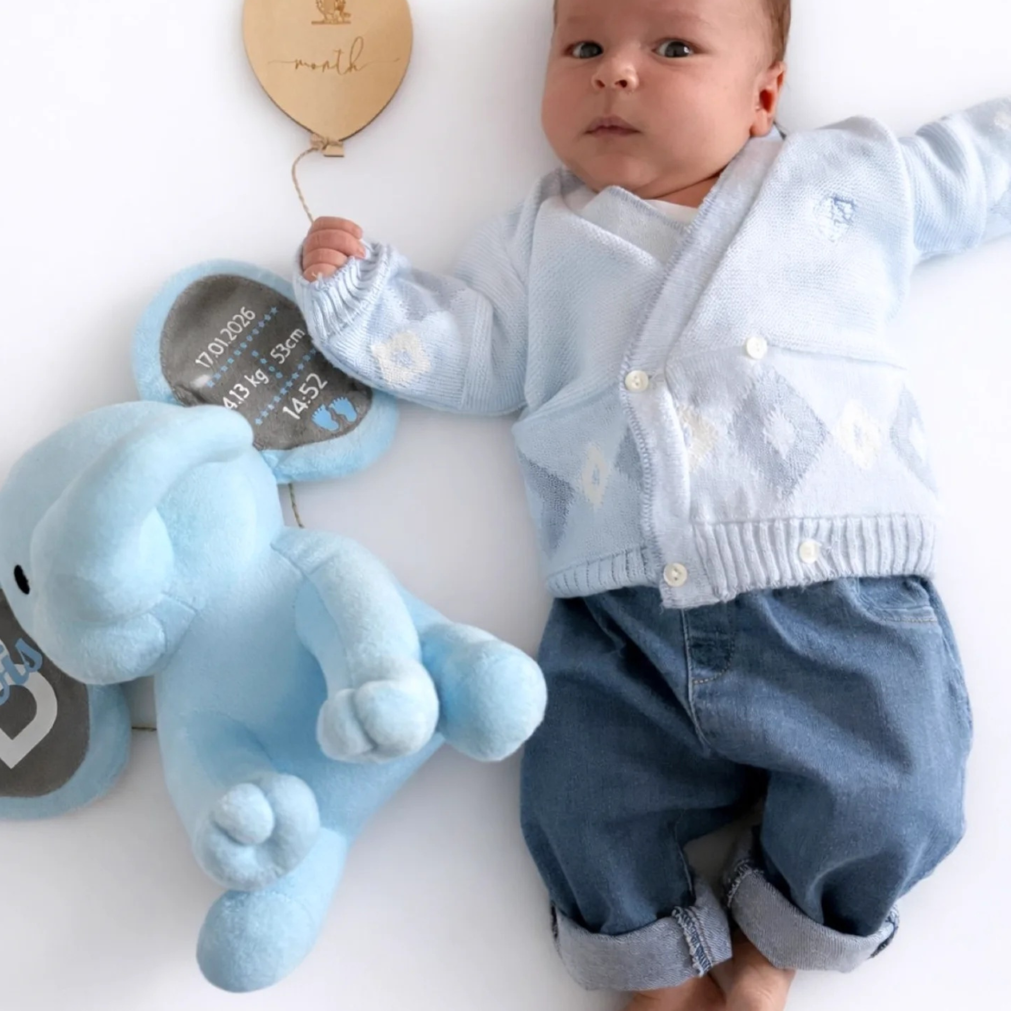 Personalized Birth Stats Elephant