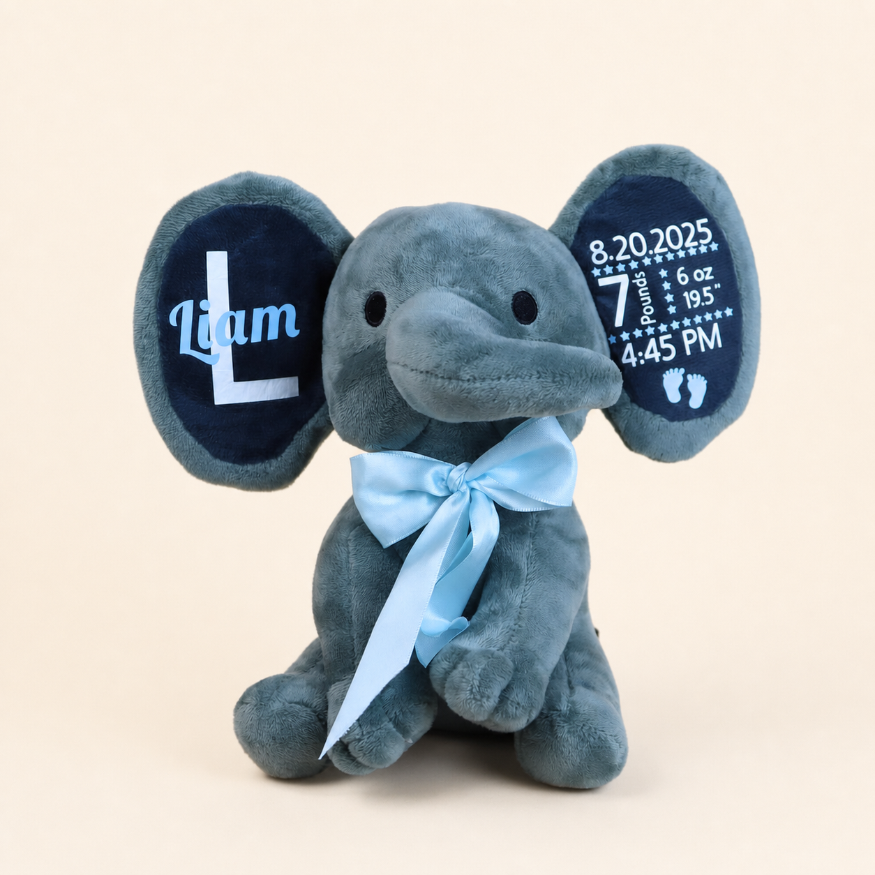 Personalized Newborn Gift Set